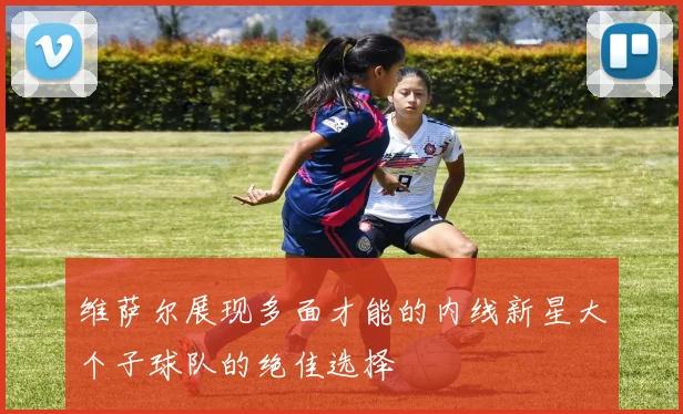 维萨尔展现多面才能的内线新星大个子球队的绝佳选择