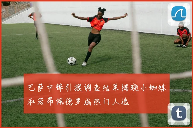 巴萨中锋引援调查结果揭晓小蜘蛛和若昂佩德罗成热门人选